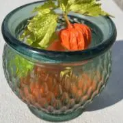 ほおずきの画像