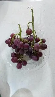 アクア