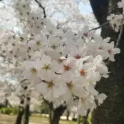 断捨離中