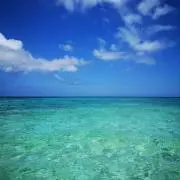 kohamajima