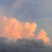 朱
