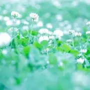きなこ＊小さな手織りの画像