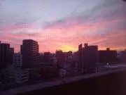 pipapipaの画像