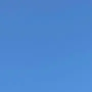 ノモ