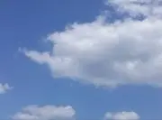 ぽち