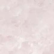 いちごの画像