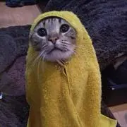 ごろり
