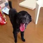 TK