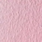 12  【即日発送】の画像