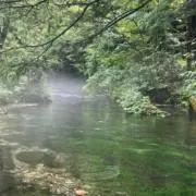 りーりの画像