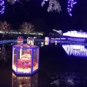 Yの画像