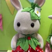 みそしるの画像