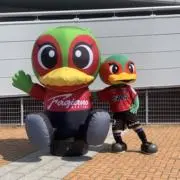 ミッチェルファジ