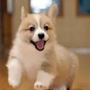 Y Y♡即購入可❗️