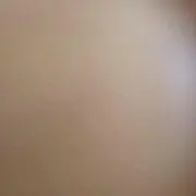 ★蓮華★