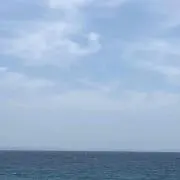 やすの画像