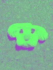 らっこ