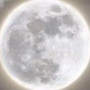17の画像