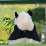 なの画像