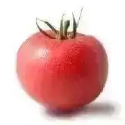 ミニトマトの画像