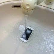 きょん。