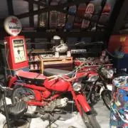 kumaの画像