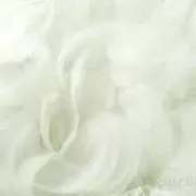 ふわふわの画像