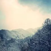 Nの画像