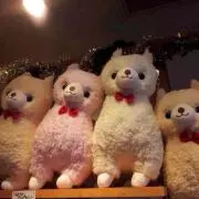 もふもふ