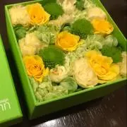 こそめの画像