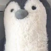 ちゃんの画像