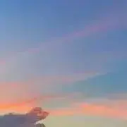 みりんの画像