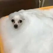 なると