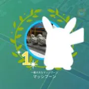 野うさぎ同盟の画像