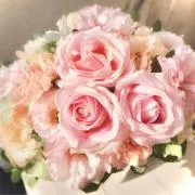 seiの画像
