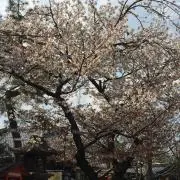 yu..の画像
