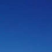ぽこの画像