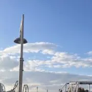 ハギの画像