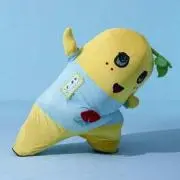 こゆきの画像