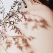 hinnの画像