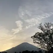 たけしの画像