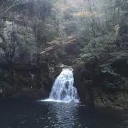 Hiroの画像