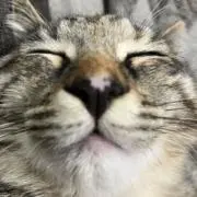 あーーの画像