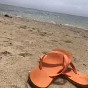 ばななの画像