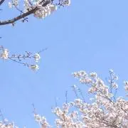 sunnyの画像