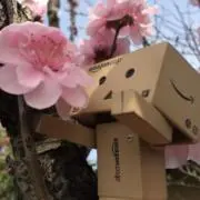 morishi º▴º］の画像