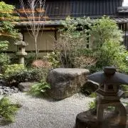 ホタルの画像