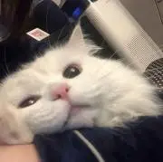 nanaの画像