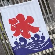 tokkoの画像