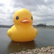 ひ〜パパの画像